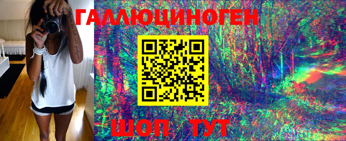Псилоцибиновые грибы Psilocybe  Вход с VPN  Псилоцибиновые грибы мухоморы  Гудермес 